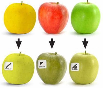ein roter, ein gelber und ein grüner Apfel sehen bei Rot-Grün-Blindheit ziemlich gleich aus